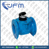 WATER METER ITRON Woltex 6 INCH (150 mm)